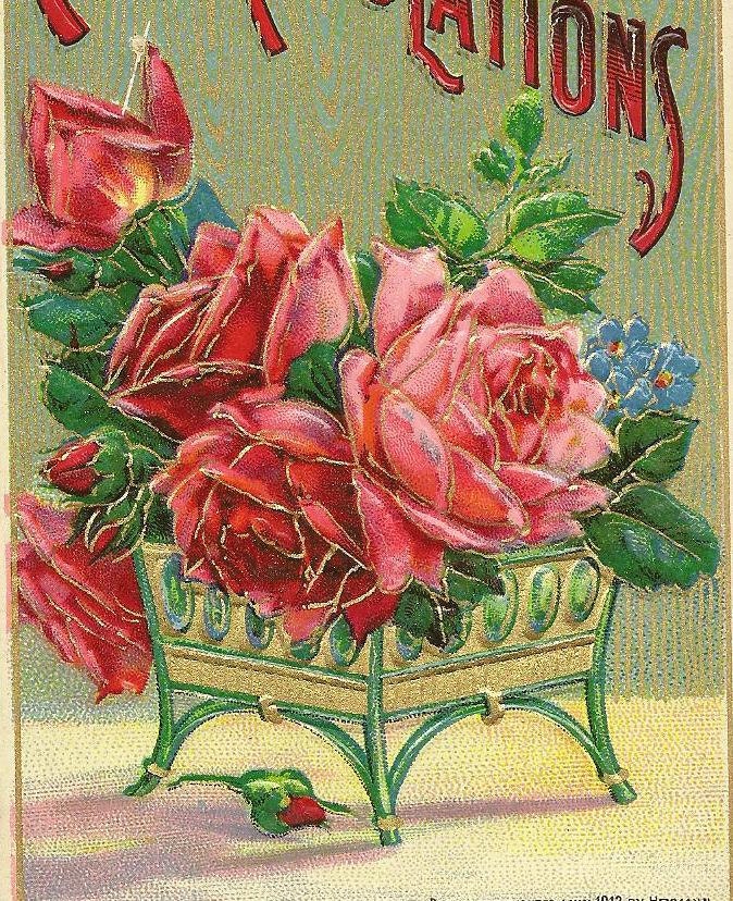 Planter of pink red roses on Heymann vintage postcard Heartiest Congratulations 1912 Solomon Brothers Publishing