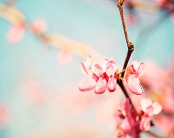 Spring Wall Decor, Blossoms, Aqua, Pink, Pale, Pastel, Nature Photography, Floral, Photography Wall Art, 8x10