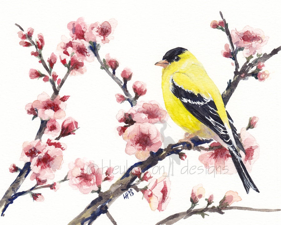 watercolor bird- Goldfinch in Spring Cherry Tree- 8x10 print