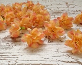Artificial Flowers- 20 Very Small French Delphinium Blossoms in Apricot - Almost 1.5 Inches