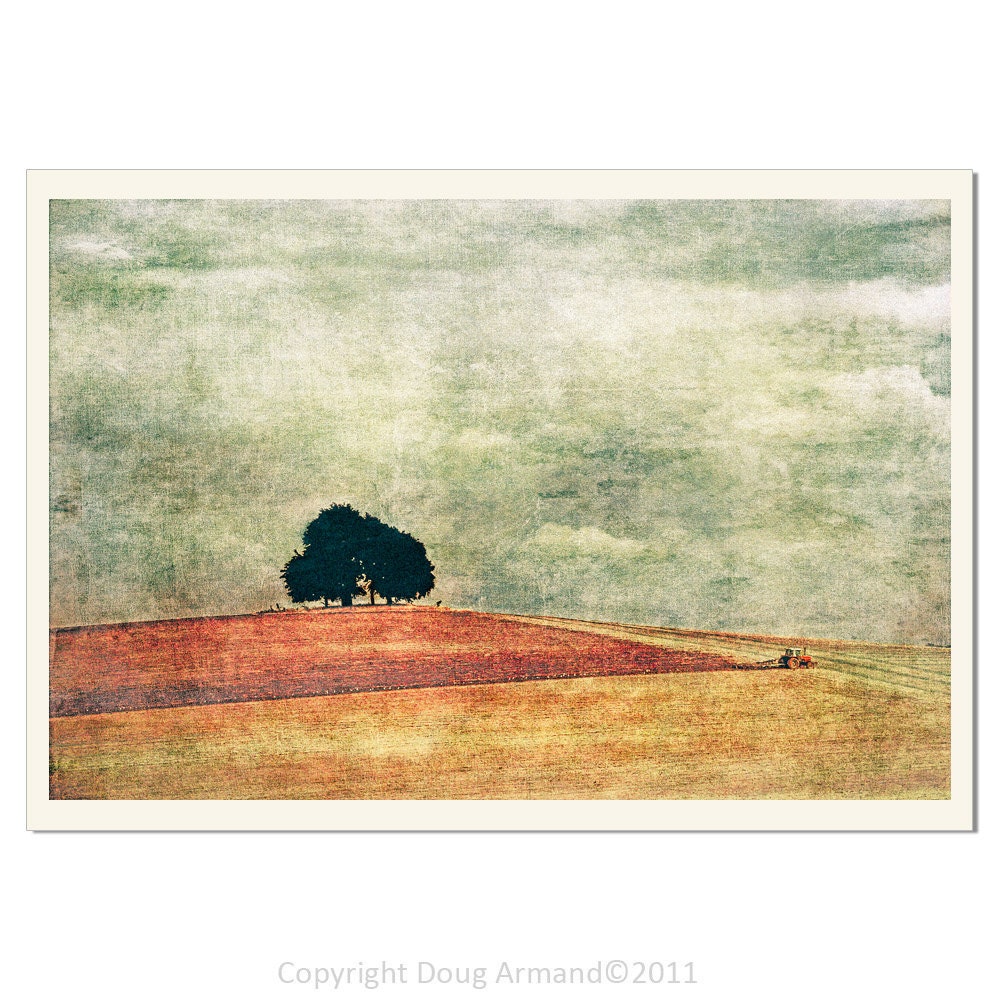 Solitary Tree - Fine Art Photographic 18x12 inch/45.72x30.48 cm Print by Doug Armand on Etsy - DAIP0087