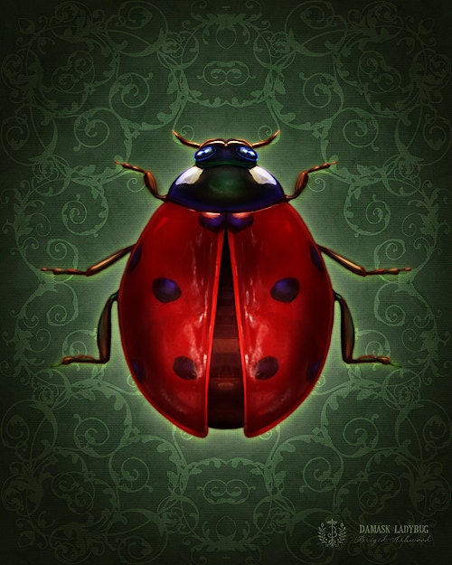 Damask Ladybug - Art Print - Brigid Ashwood