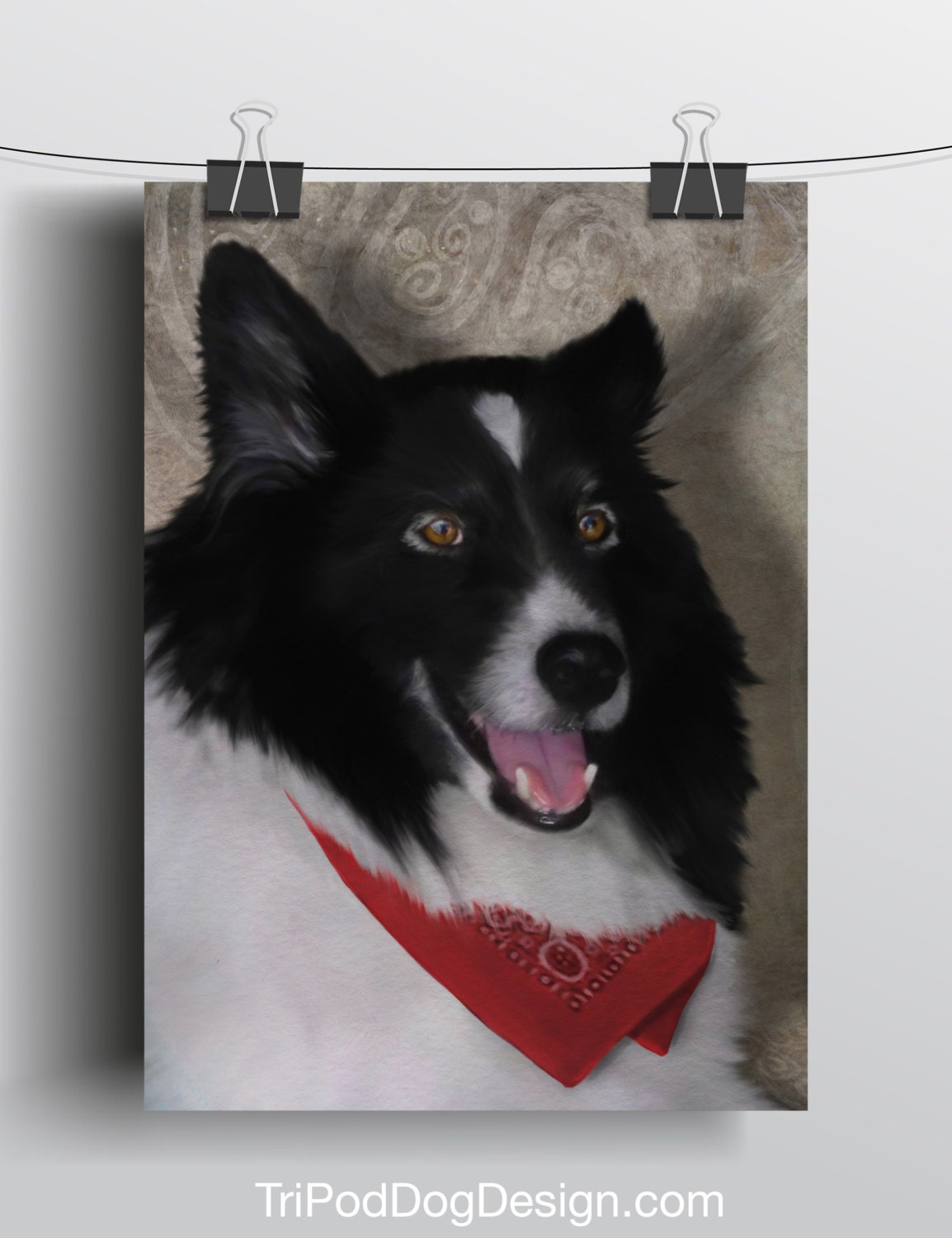 Border Collie - 5x7 Giclee print on canvas
