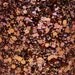 Roca of Tacoma Custom Nail Polish