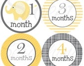 Gender Neutral Monthly Onesie Stickers - Yellow and Gray Elephants - Etsykids Team - Gender Neutral Baby Gift