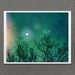 We Are Magic 8x10 / Landscape Nature Photo, Custom Wedding Art Poster, Valentines, Anniversary, Romantic Decor, Fantasy, Night Sky, Stars