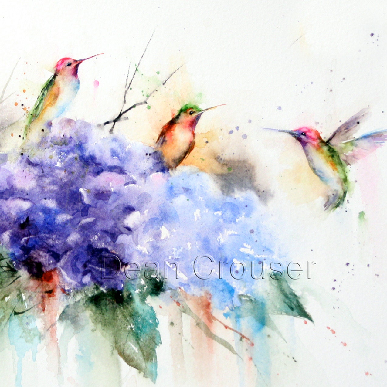 HUMMINGBIRDS and FLOWERS Watercolor Print by Dean Crouser