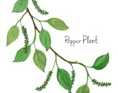 Pepper Plant - 8'x11' Food Poster