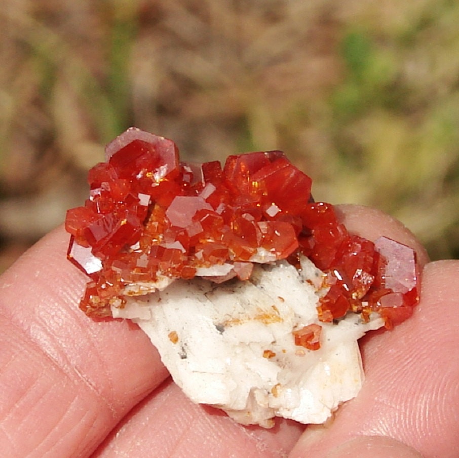 Morocco White bladed Barite Cherry Summer Red Vanadinite Crystal cluster collectable mineral specimen MVB 7, Fathers day gift, Summer