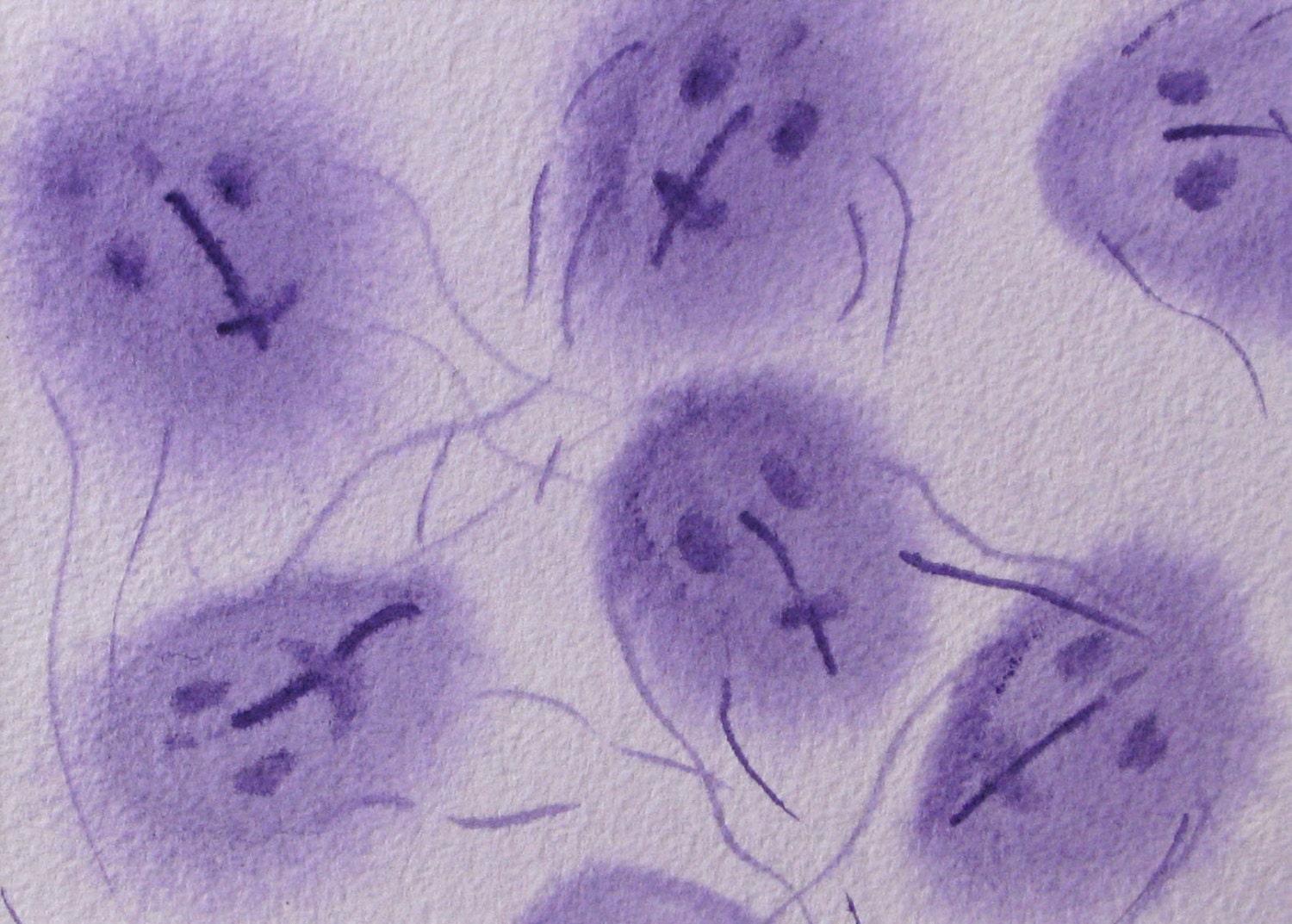 Purple Giardia- original watercolor of parasite