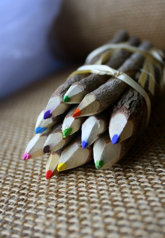 Twig Pencils - Colored Pencils - Rustic Chic Wedding Favors/Decor - Assorted Colors Set of 12