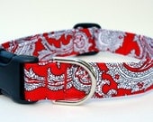Dog Collar - Red Paisley - Modern Paisley in Red, Black and White