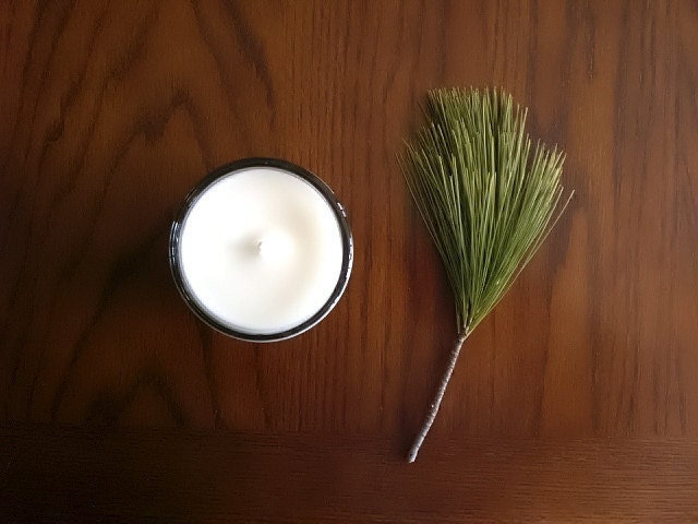 Blue Spruce soy candle - Earthy Cabin Log Home Woodland Outdoors