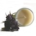 Eucalyptus Sage Soy Candle - Pure Essential Oils, earthy and herbal scent