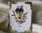 Mixed Media Original, Pressed Flower Art Miniature Pansy Picture