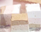 Dozen Organic Neopolitan Marshmallow Cubes Gluten Free Gourmet