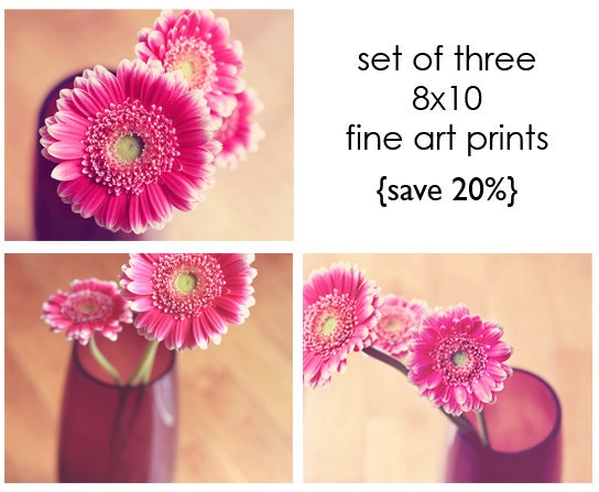 Nature print set SAVE 20% off set of three 8x10 fine art prints Pink Gerber Daisies Still life, Color Photography art prints