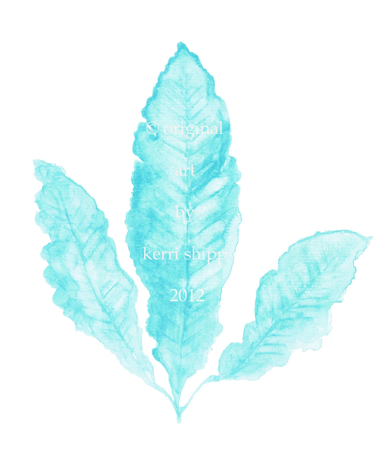 Sea Fan in Turquoise II - NEW Print