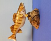 Walleye Hand Carved Wood Sculpture