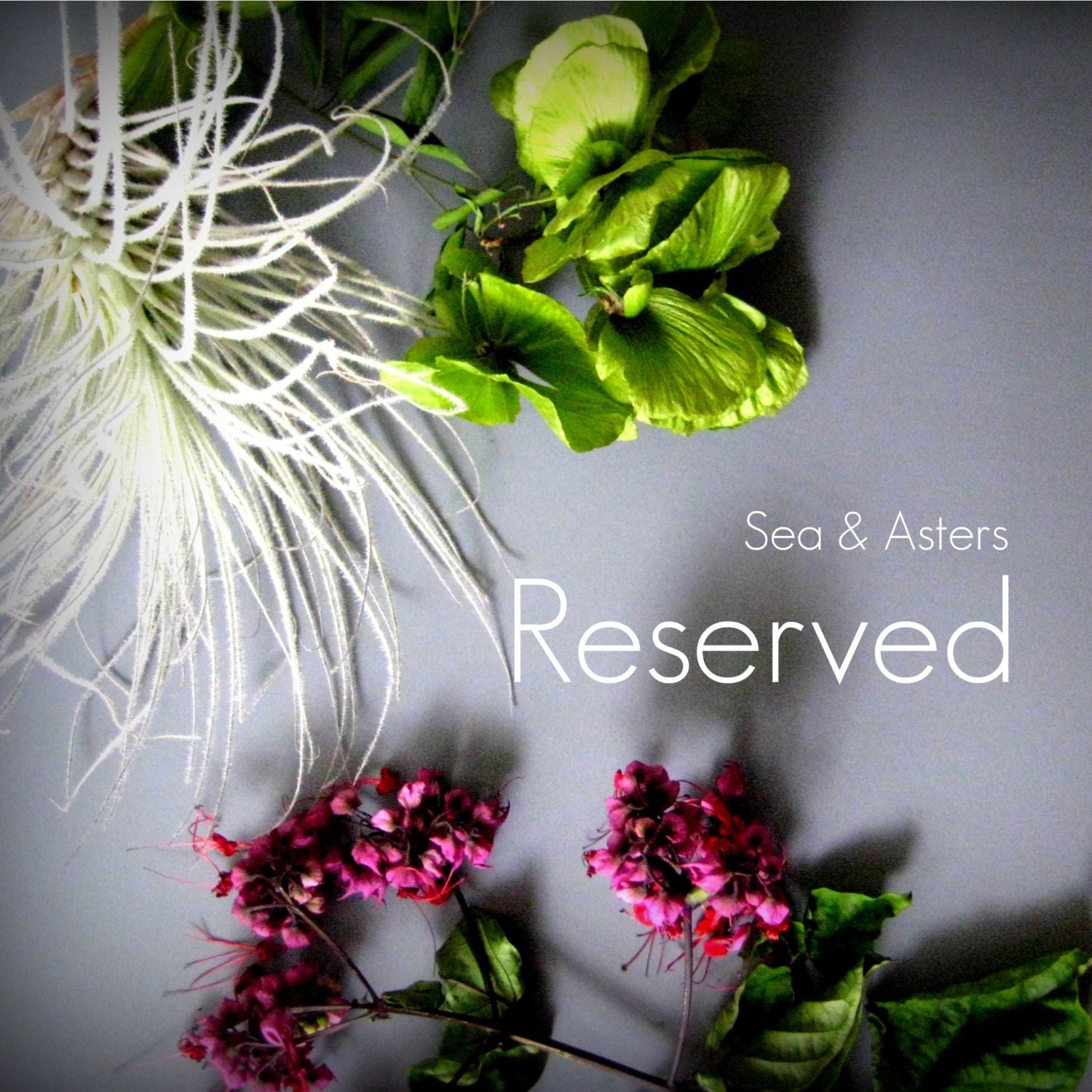 Reserved for Jenn