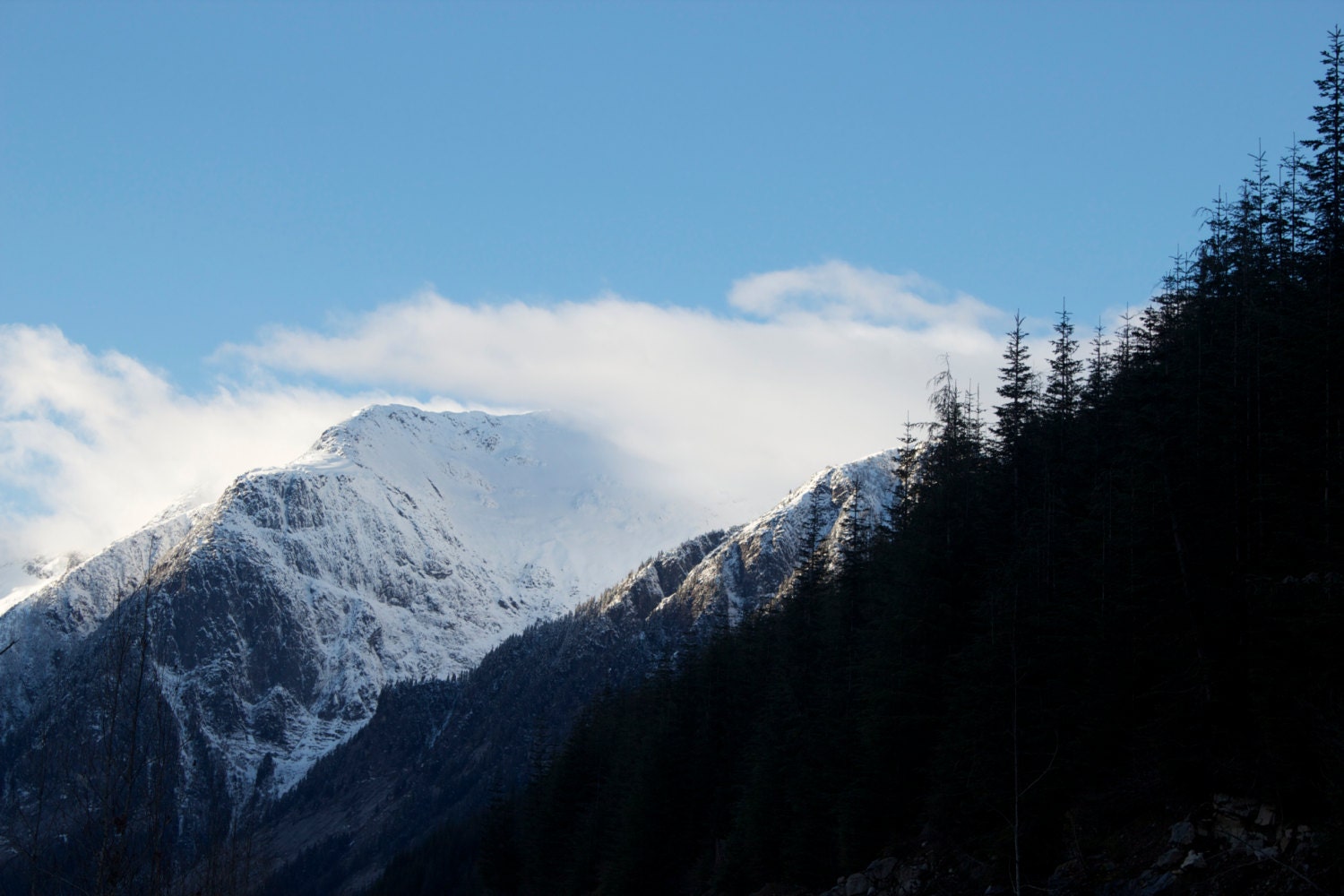 Fine Art Photography, Winter Scenery, Nature, Mountain Photo Art Prints, 8 X 10,"Fresh Winter Snow"