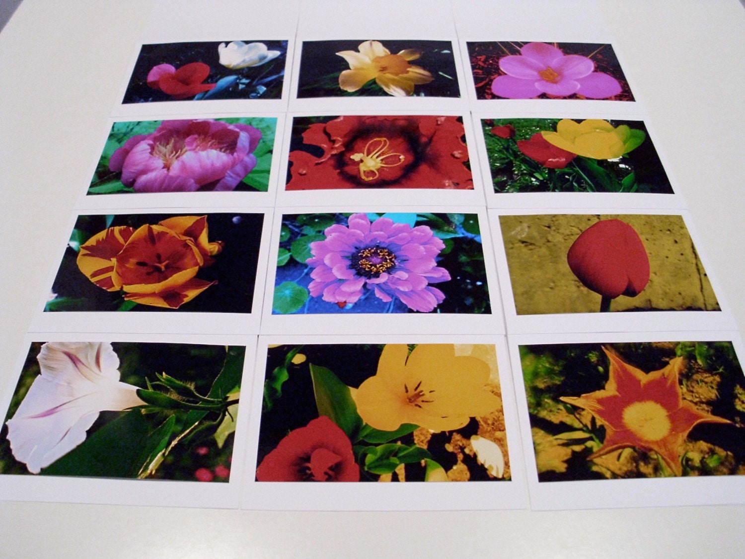 12 Spring Flower Note Cards & White Envelopes, 5"x7" Fine Art Photographs, Greeting Cards, Archival Acid-Free Sleeves
