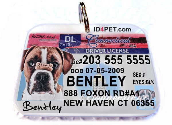 Pet ID Tags Connecticut Driver License Double Sided by ID4Pet