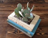 Stacked Vintage Book Planter for Succulents or Flowers