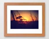 24"x36" Sunset Landscape Photography Print, Africa, Namibia, Summer, Sunset, Nature, Trees, Travel