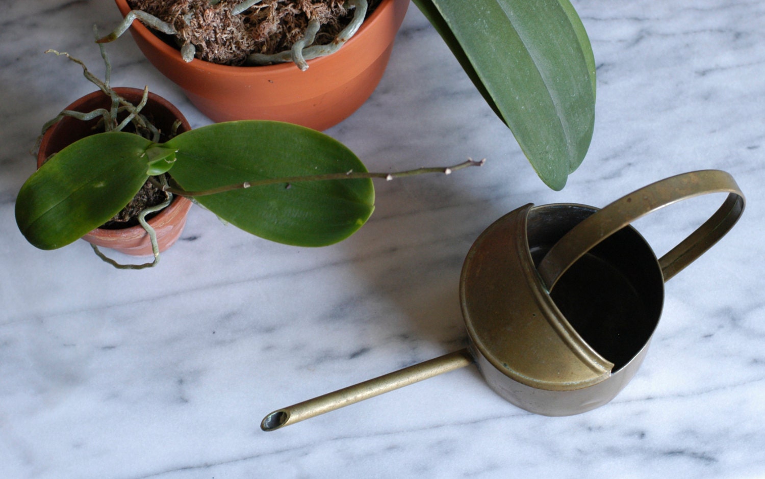 Vintage Copper Watering Can