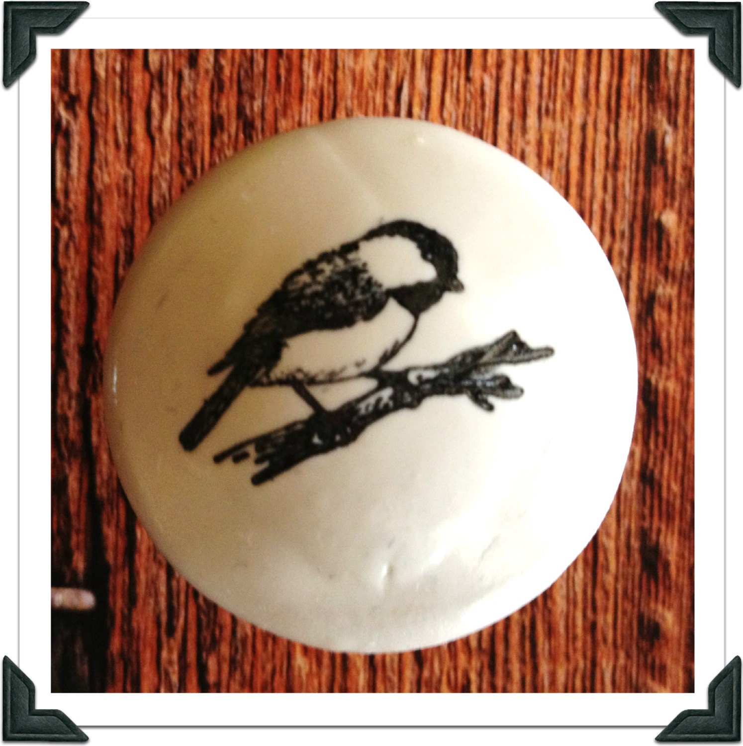 Tiny Bird Knob