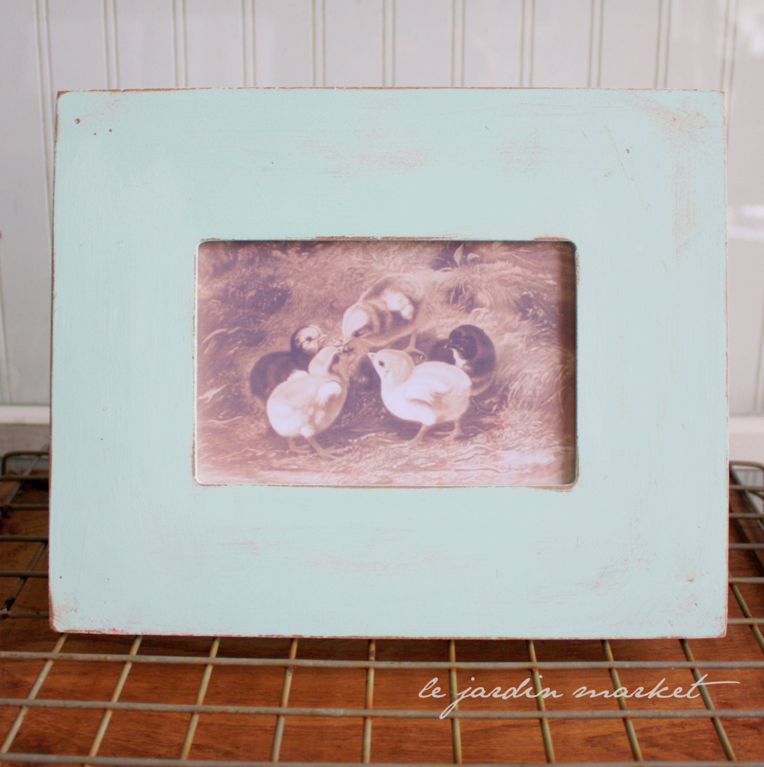Framed chicks vintage illustration