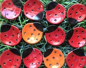 Ceramic Tiny Ladybug Madge Dish, Luck, bridal favor, catchall, jewelry, ring dish, home decor, teabag holder, spoon rest.