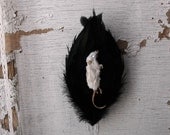 Real CRUELTY FREE Mummified Mouse Rooster Feather Wall Hanging Plaque
