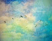 Flying Birds. Bird photography. Surreal art. Colorful. Vintage. Texture. cloudy sky. blue. yellow. green. bird home decor. rainbow. dreamy.