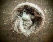 birds nest batt, pipit