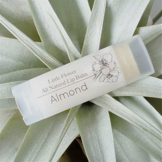 ANY 4 Natural Lip Balms / Shea butter lipbalm / beeswax lip balm / michigan made chap stick / tangerine chapstick