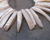Mother of Pearl Shell Stick Beads Top Drilled 40mm Polished Pearl White Spikes 15 pcs