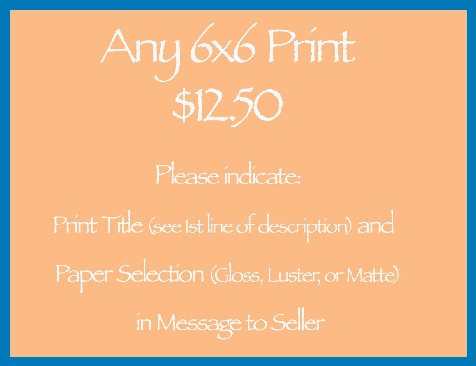 Any 6x6 Photographic Print, Unframed