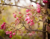 Spring Blossoms No. 3
