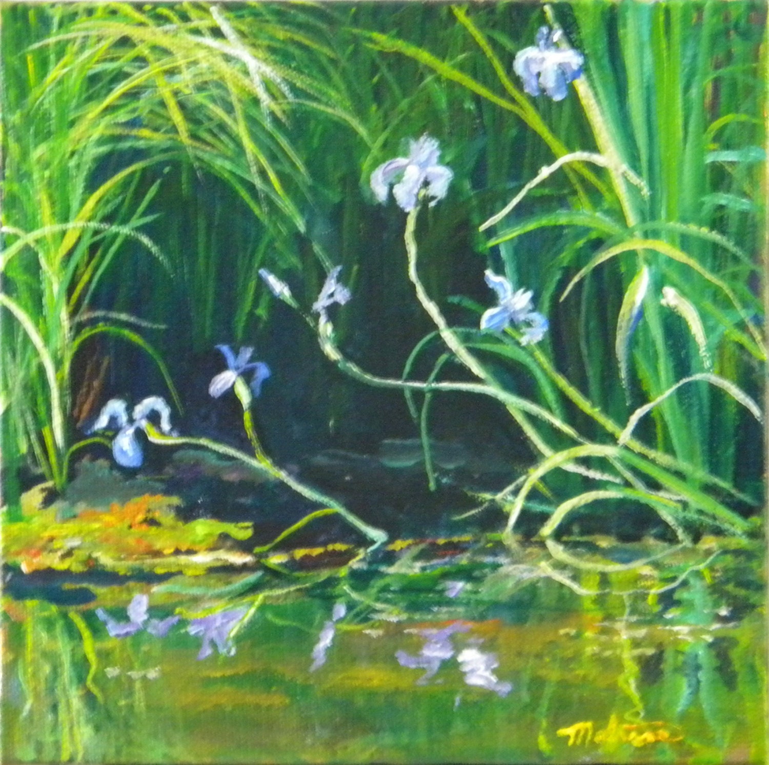 Wild Irises