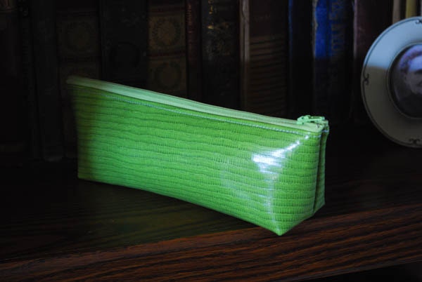 Green Faux snakeskin pencil case