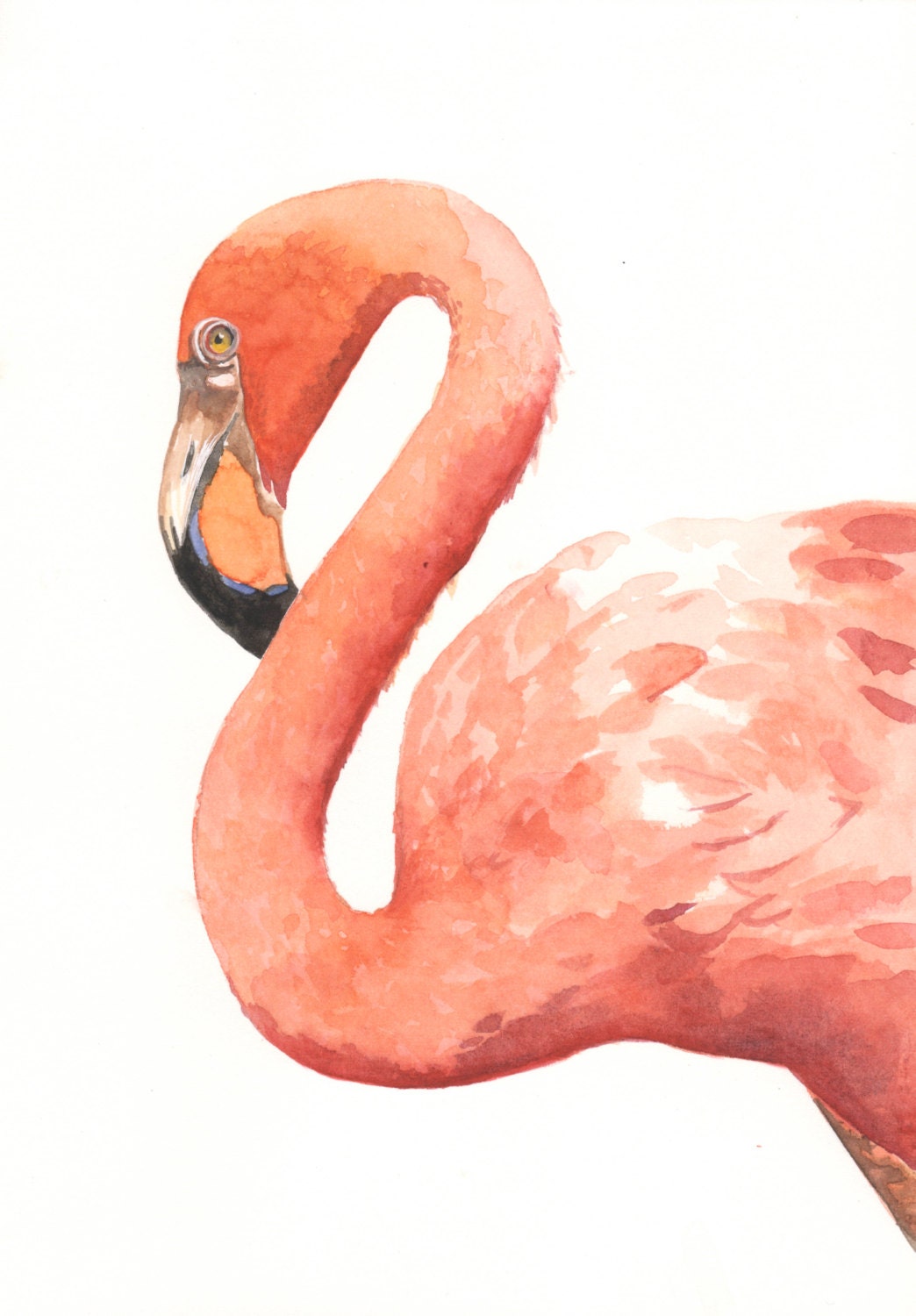 Flamingo Painting -  print of watercolor painting 5 by 7 print