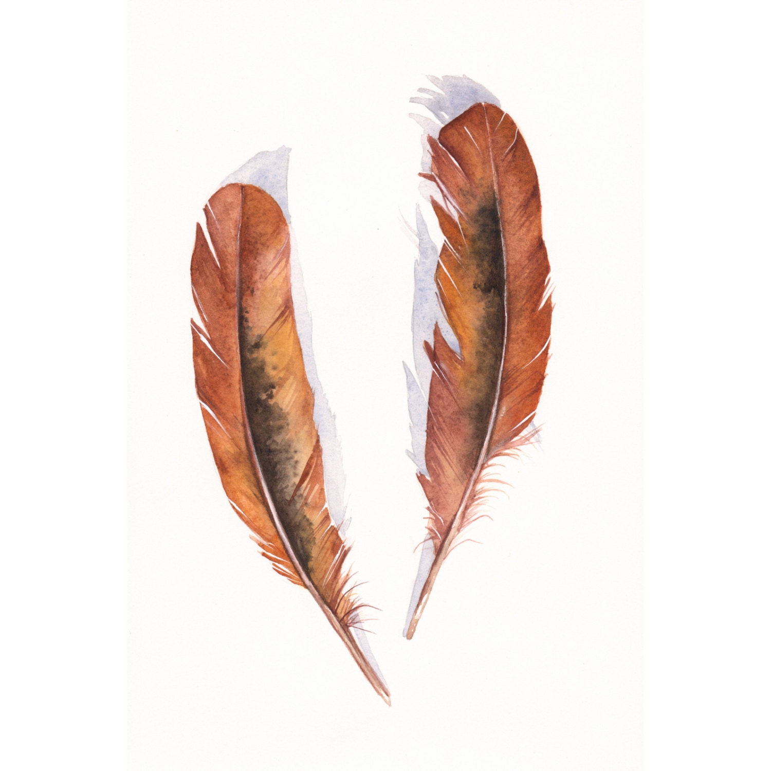 Feathers Brown F090 Feather painting- print of watercolor painting A4 print