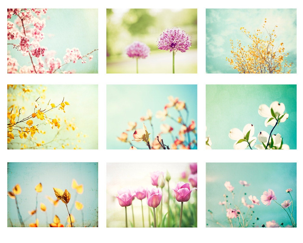 Photo Set - 9 5x7 Photographs - flower photography spring floral branch print set pale mint green blue yellow pink pretty nature wall art