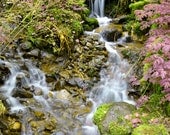 Waterfall Photography Print 11x14 Fine Art Oregon Enchanted Spring Flowers Mountain Forest Landscape Photography Print.