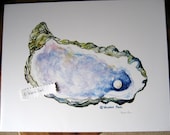 11x14 Oyster with Pearl Watercolor Print