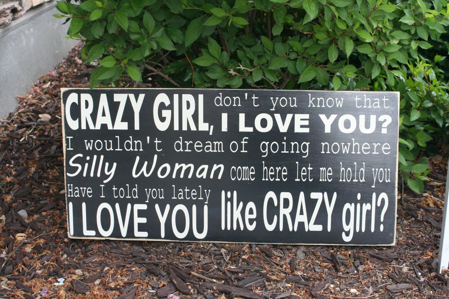 Crazy Girl Lyrics hand painted wood sign