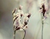 Winter floral print- icy blue, nursery decor, dreamy, mint, romantic, bokeh, for her, lensbaby, fine art photograph, 8x10 print