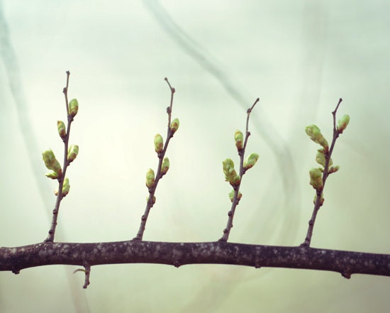 Mint green tree print- spring, leaves, ethereal, woodland, green, branches, enchanting, 8x10 print, fine art photo - dullbluelight Mint green tree print- spring, leaves, ethereal, woodland, green, branches, enchanting, 8x10 print, fine art photo - dullbluelight
